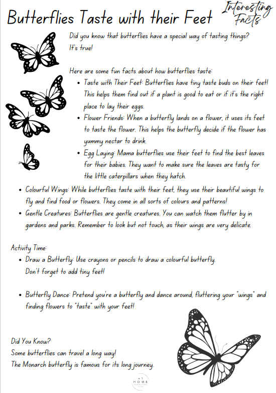 4-6 year olds Insects Themed Booklet - Digital