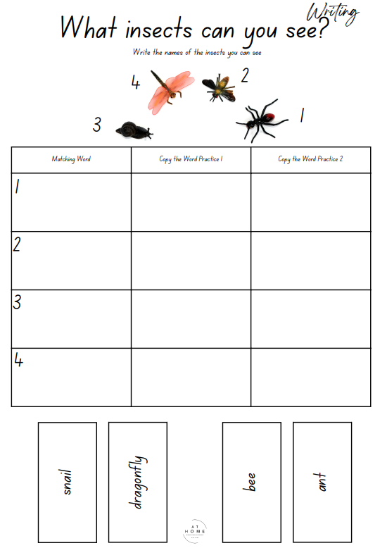4-6 year olds Insects Themed Booklet - Digital