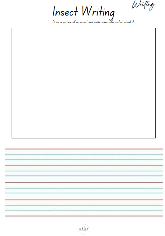 Year 1 and 2 Insects Themed Booklet - Digital