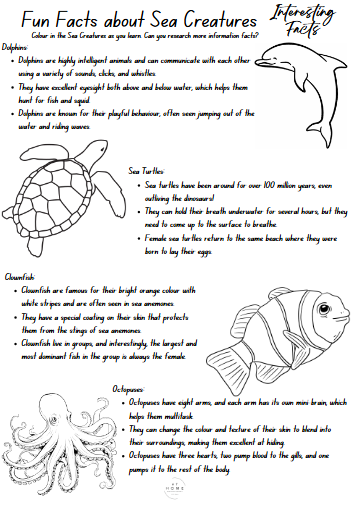 Year 5 and 6 Under the Sea Themed Booklet - Digital