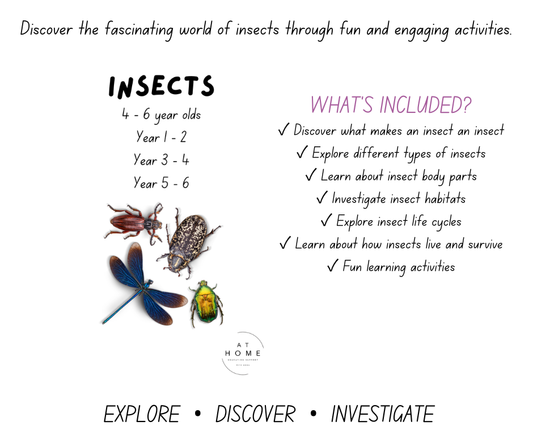 Insect All Primary Ages Themed Booklet (Digital Download)