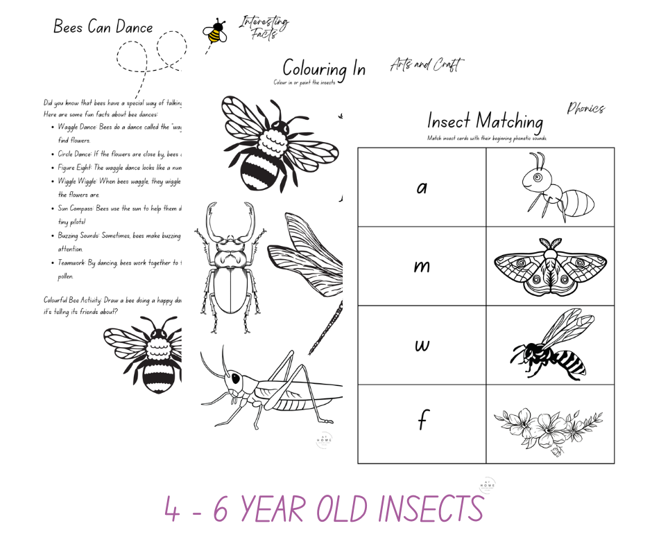 Insect All Primary Ages Themed Booklet (Digital Download)