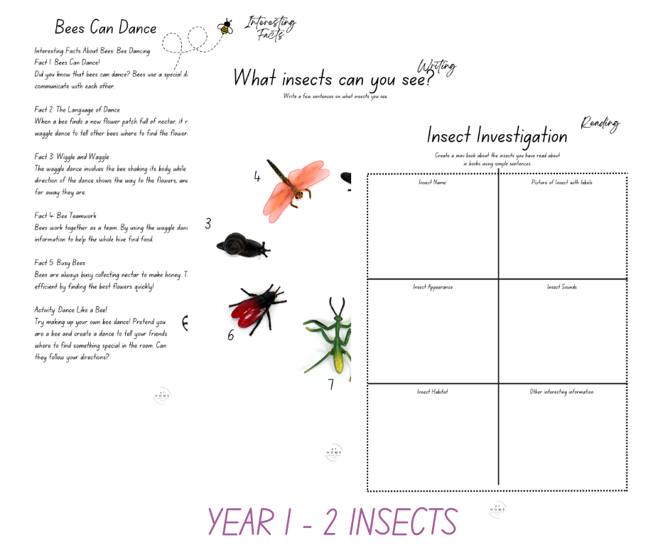 Insect All Primary Ages Themed Booklet (Digital Download)