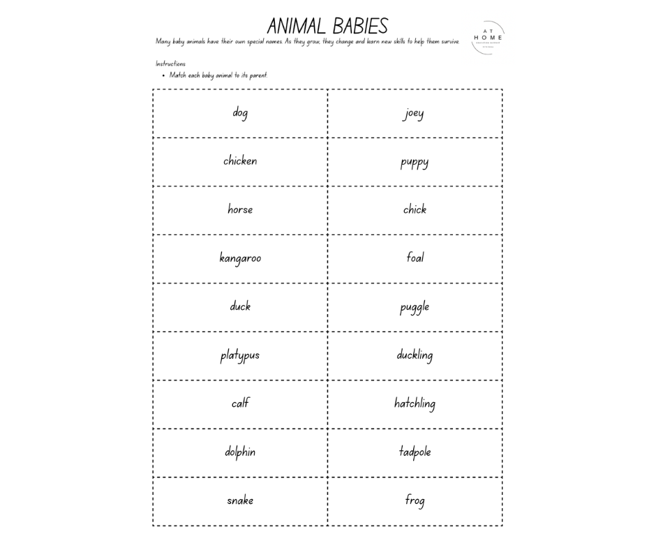 Mini Animal Booklet Foundation - Year 2 (Digital Download)