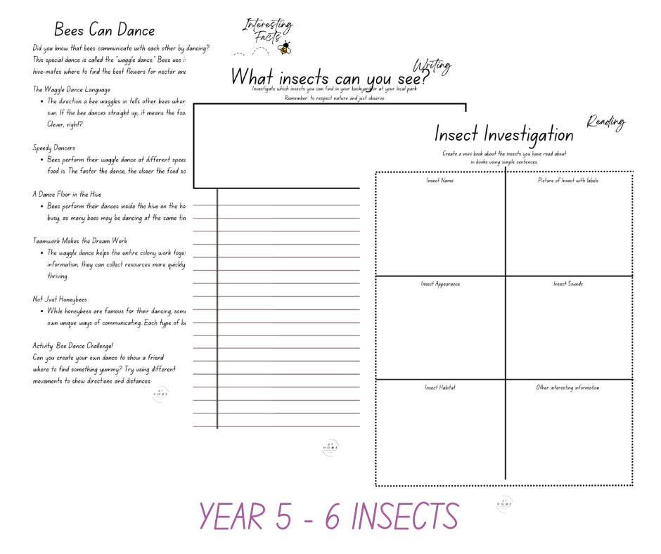 Insect All Primary Ages Themed Booklet (Digital Download)