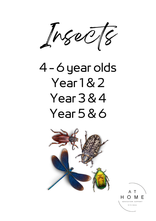 Insect All Primary Ages Themed Printable Booklet