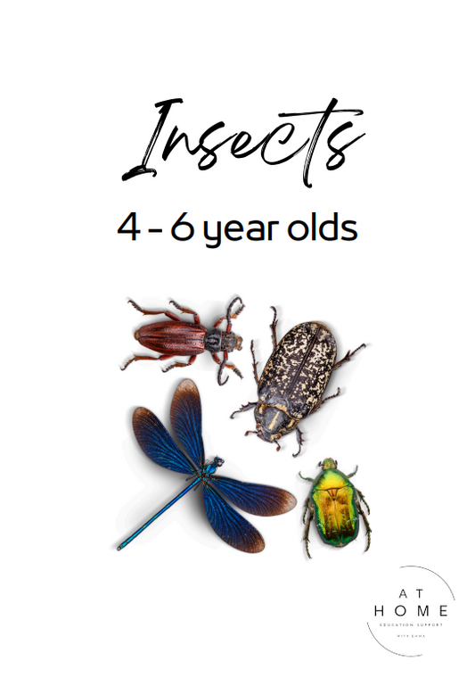 4-6 year olds Insects Themed Booklet - Digital