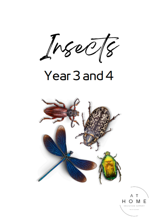 Year 3 and 4 Insects Themed Booklet - Digital