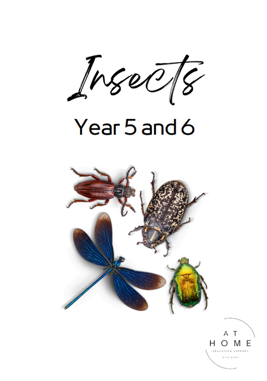 Year 5 and 6 Insects Themed Booklet - Digital
